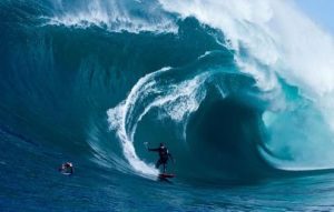 Surf Wings: The Next Big Wave?